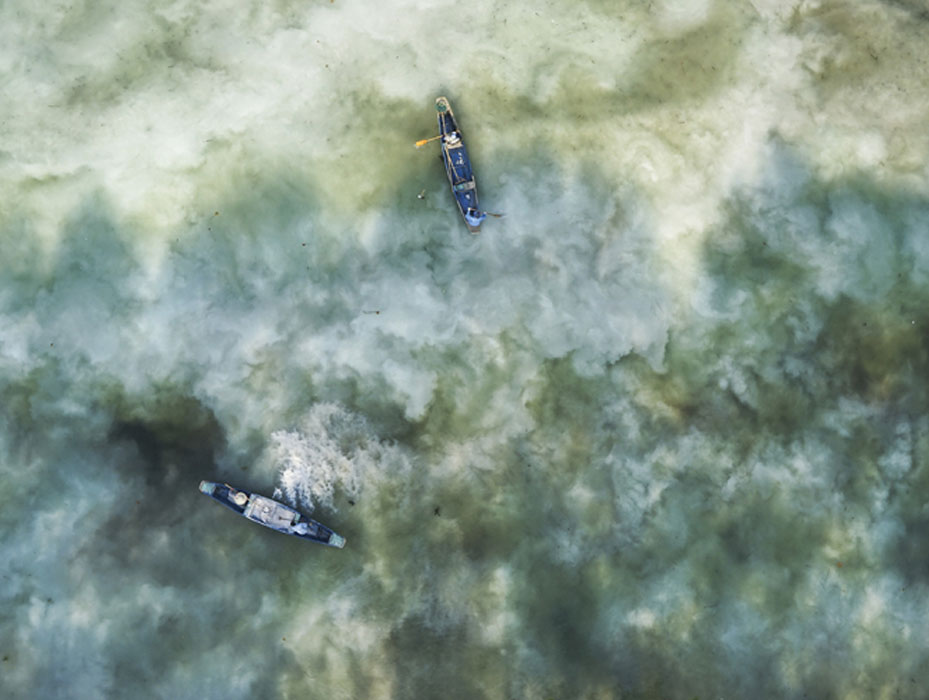 水產(chǎn)養(yǎng)殖常用的清塘方法，你用過(guò)哪種？